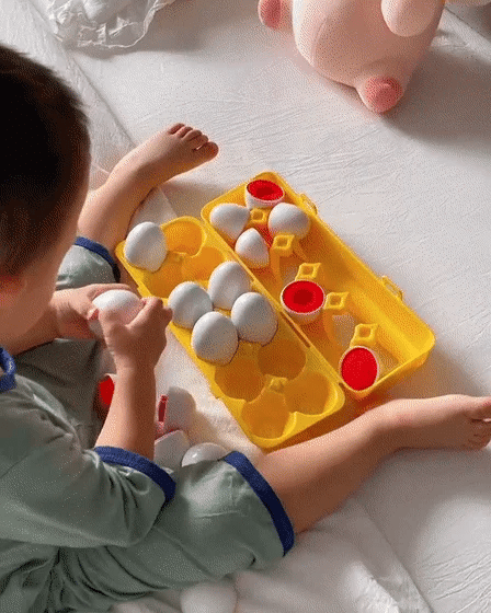 Educational Gift for Kids