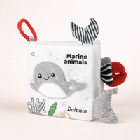 Marine Animals